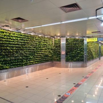 부산 서면 지하철역 실내정원 재조성